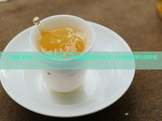 一叶成茗是什么茶