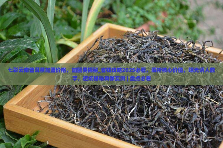 七彩云南普洱茶加盟价格
