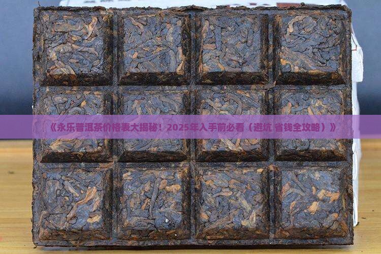 永乐普洱茶价格表