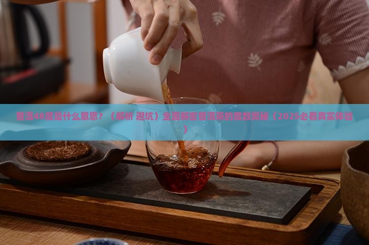 普洱48度什么意思