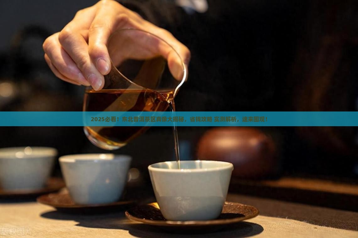东北普洱茶区介绍