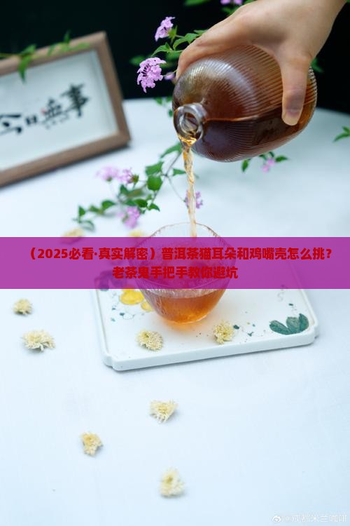 普洱茶猫耳朵和鸡嘴壳