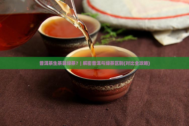 普洱茶生茶算绿茶