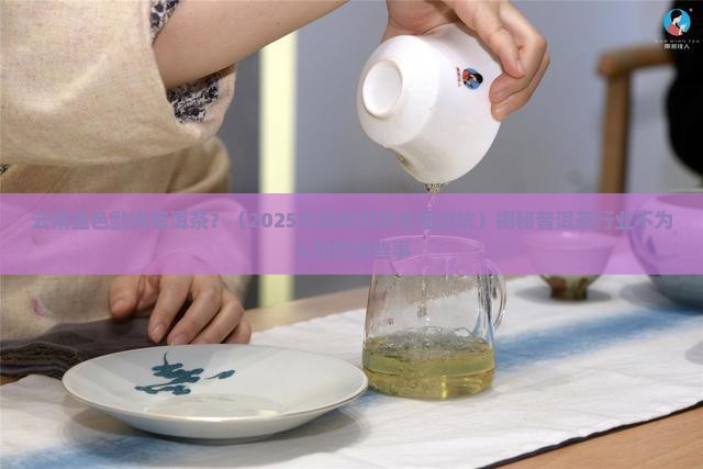 云南金色勐海普洱茶