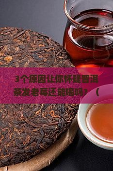 普洱茶发老莓还能喝吗