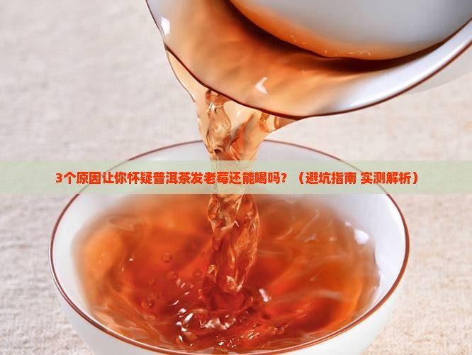普洱茶发老莓还能喝吗