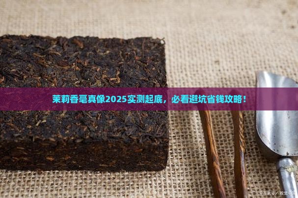 茉莉香毫是什么茶叶