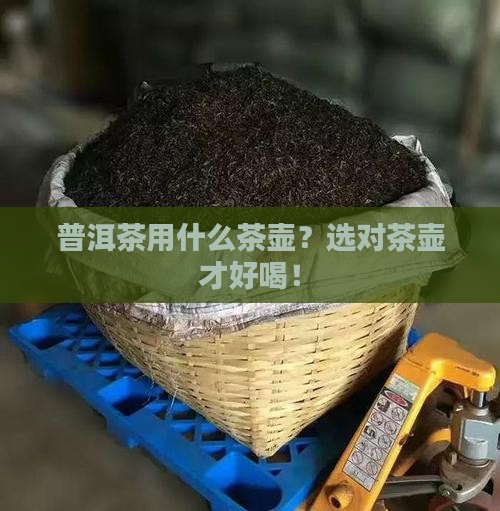 普洱茶用什么茶壶