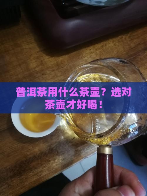 普洱茶用什么茶壶