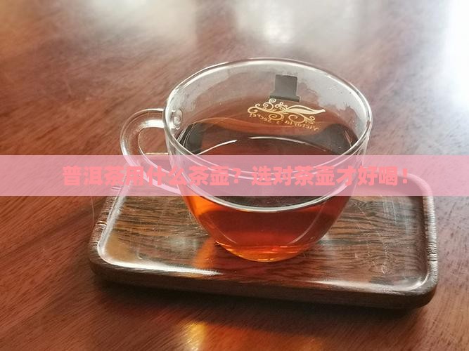 普洱茶用什么茶壶
