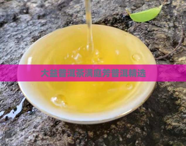 大益京满庭芳普洱茶