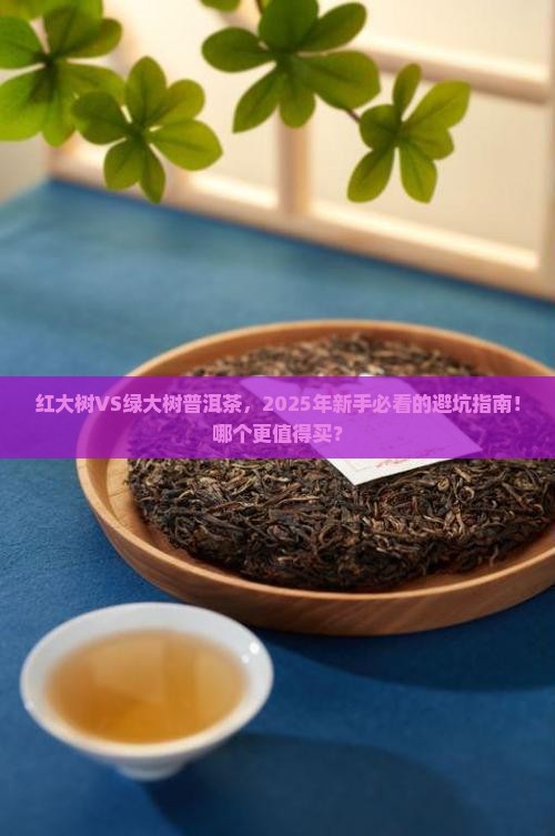 红大树和绿大树普洱茶哪个好