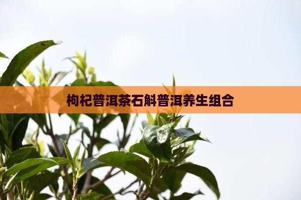 枸杞石斛普洱茶