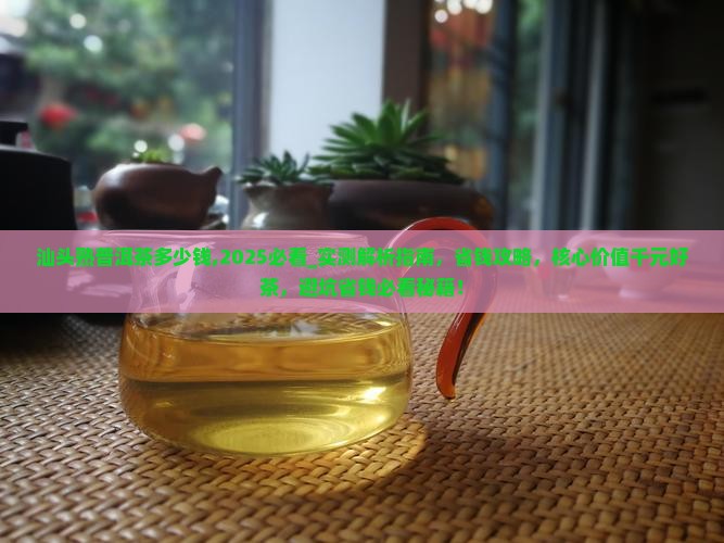 汕头熟普洱茶多少钱