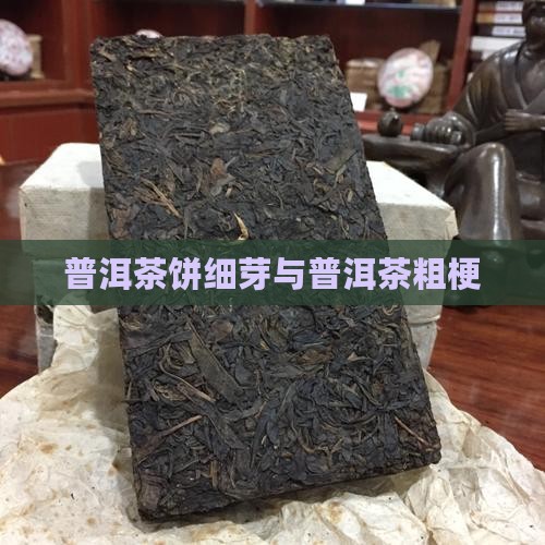 普洱茶饼细芽和粗梗