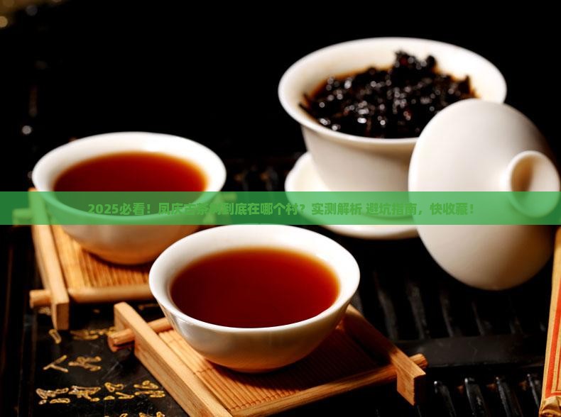 凤庆古茶树在哪个村