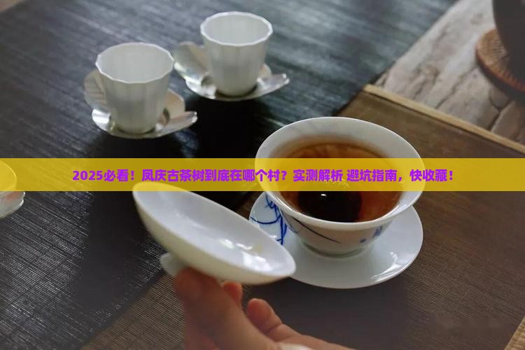 凤庆古茶树在哪个村