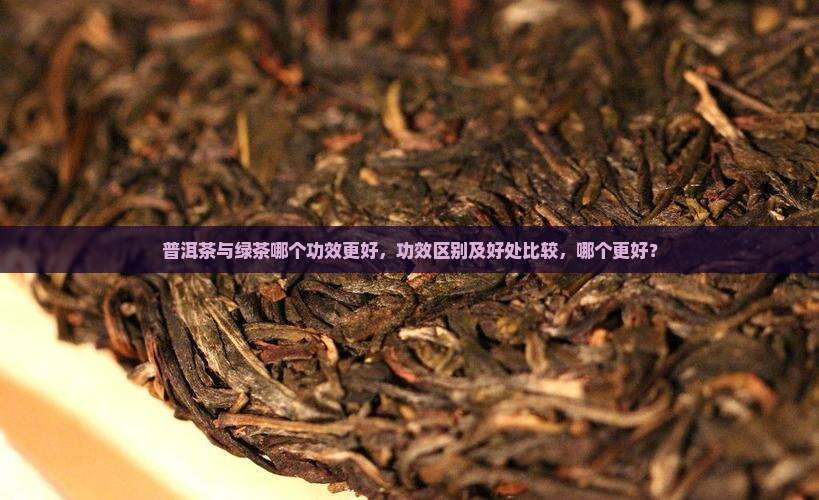普洱茶与绿茶哪个功效更好