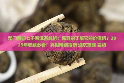 澳门回归七子普洱茶