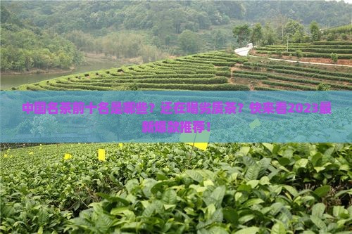 中国名茶前十名