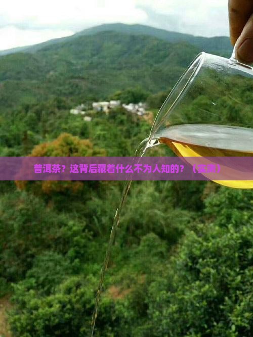 缅甸边境普洱茶