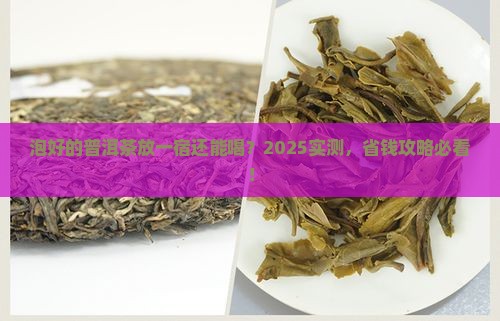 泡好的普洱茶能否过夜