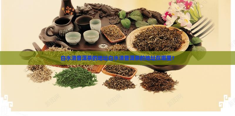 白水清普洱茶的地址