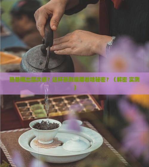普洱茶熟普评语