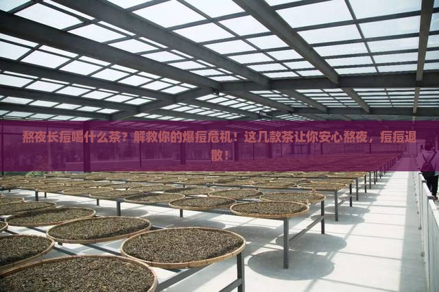 熬夜长痘喝什么茶