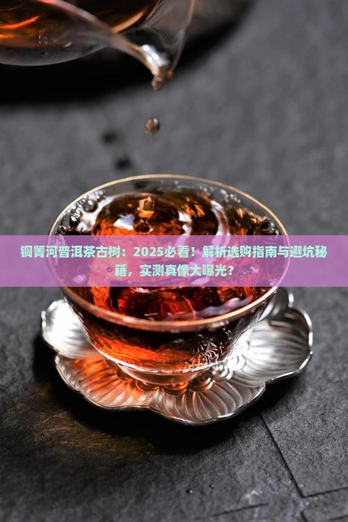 铜箐河普洱茶古树