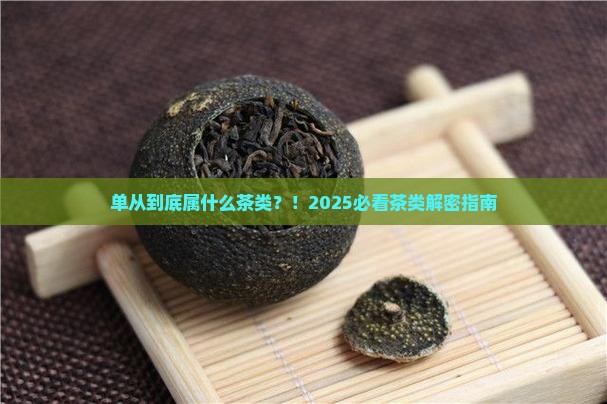 单从属什么茶类
