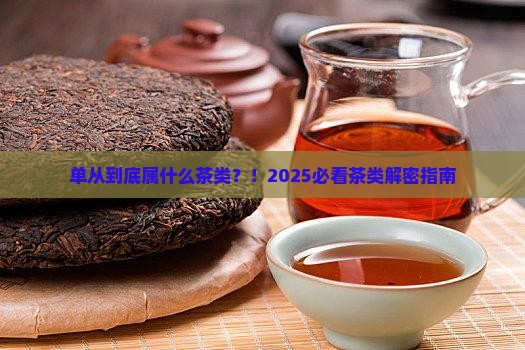 单从属什么茶类