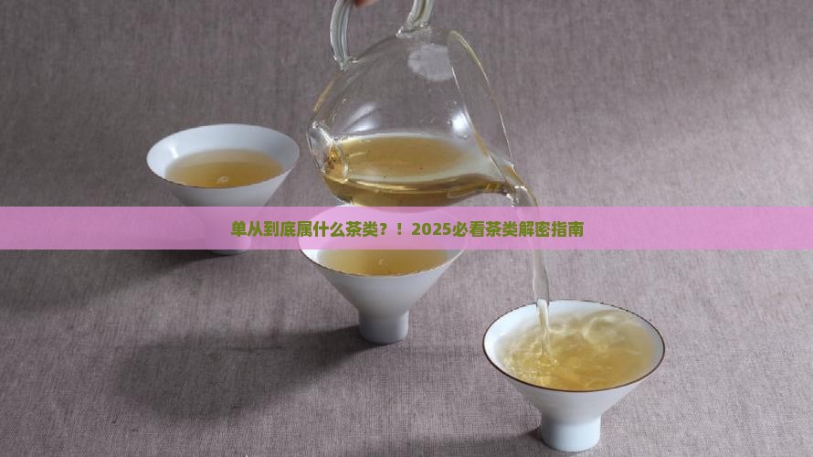 单从属什么茶类