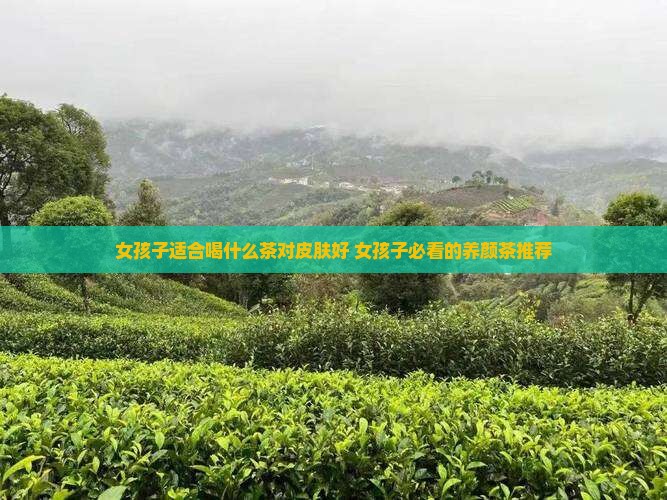 女孩子适合喝什么茶对皮肤好