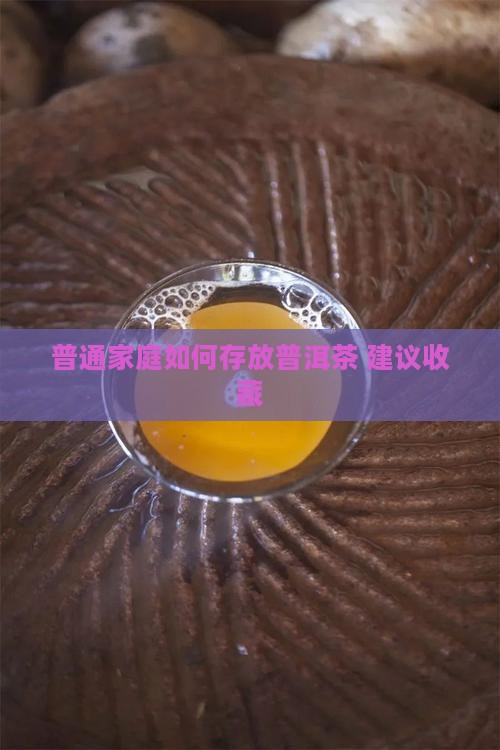 普通家庭如何存放普洱茶