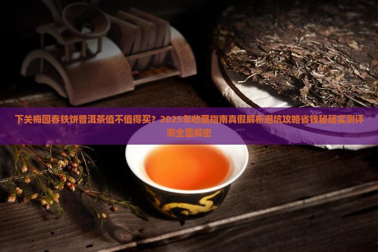 下关梅园春铁饼普洱茶