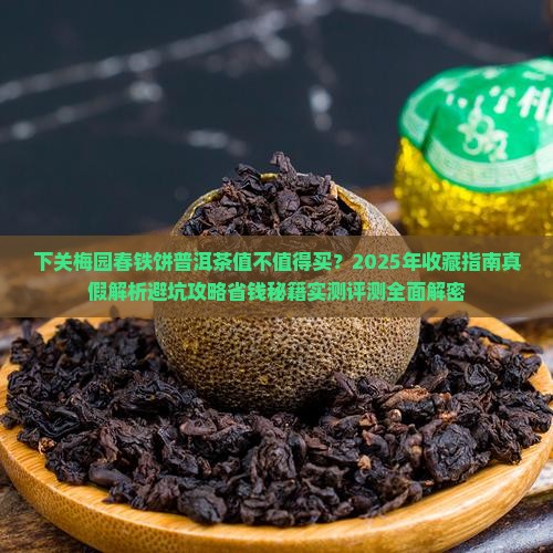 下关梅园春铁饼普洱茶