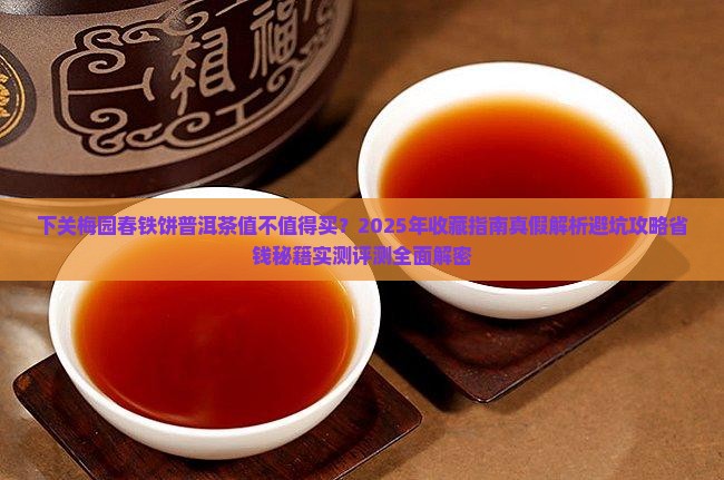 下关梅园春铁饼普洱茶