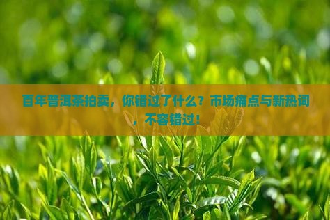 百年普洱茶拍卖
