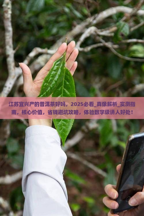 江苏宜兴产的普洱茶好吗