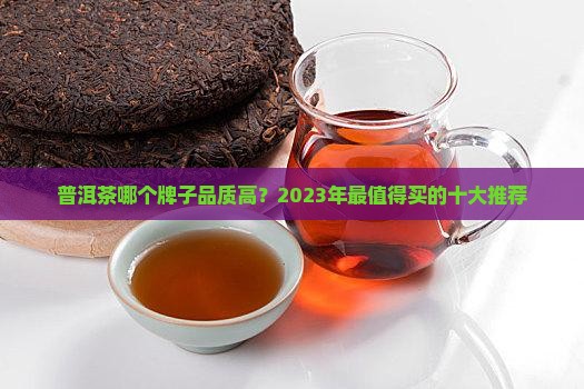 普洱茶哪个牌子品质高
