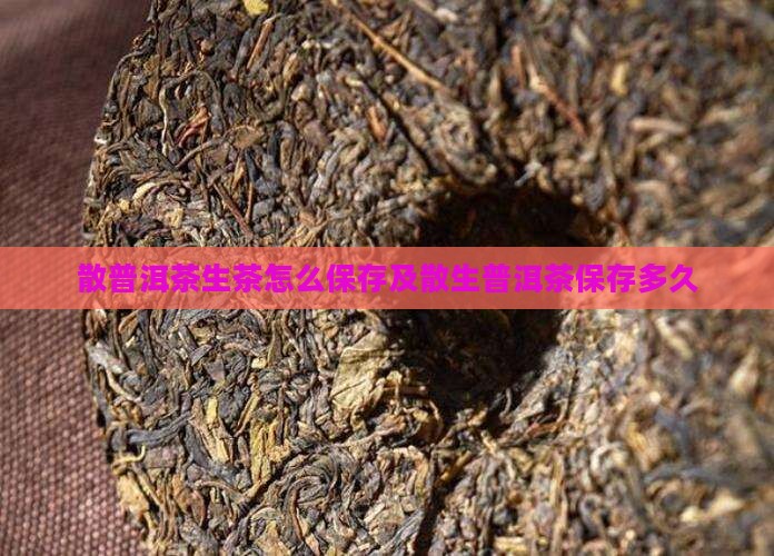 散普洱茶生茶怎么保存