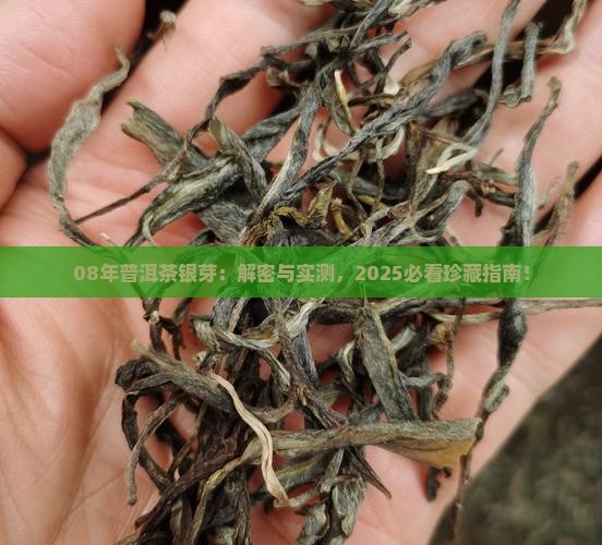 08年的普洱茶银芽