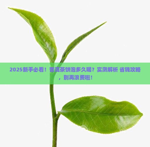 普洱茶饼泡多久才能吃掉
