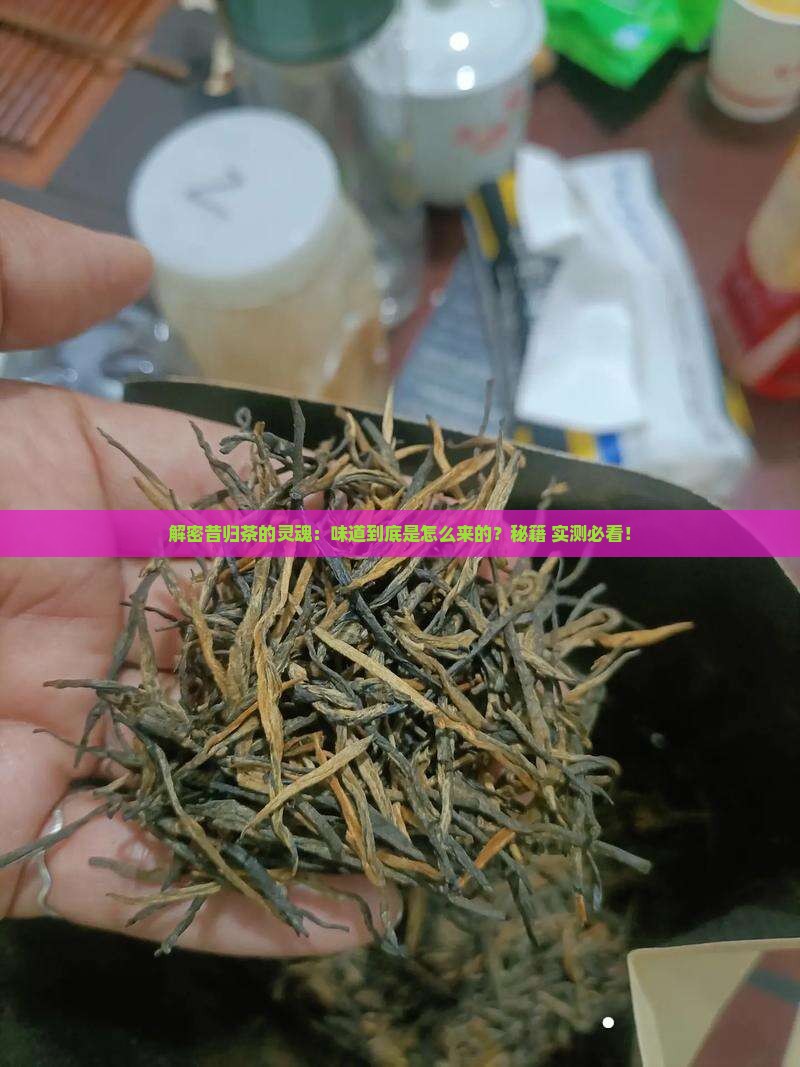 昔归茶的味道怎么来的