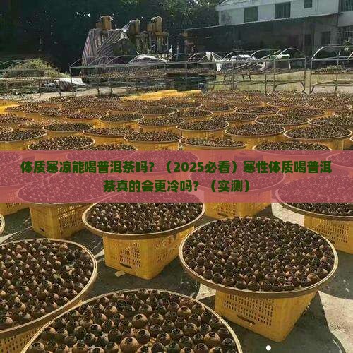 体质寒凉能喝普洱茶吗
