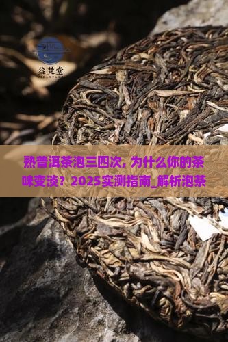 熟普洱茶泡三四次