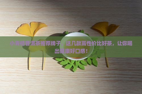 小青桔普洱茶推荐牌子
