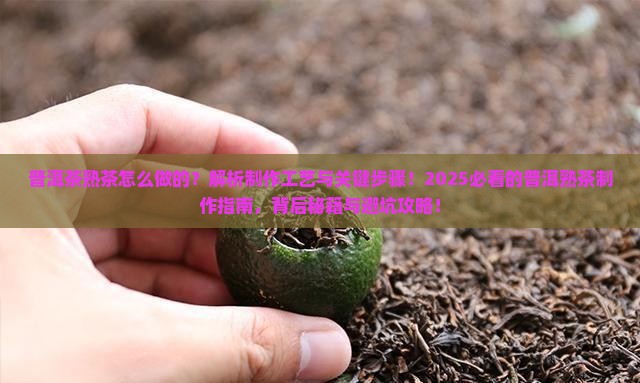 普洱茶熟茶怎么做的