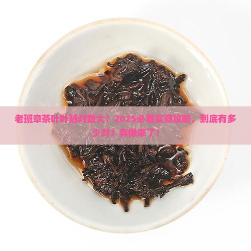 老班章茶叶的叶脉多少对